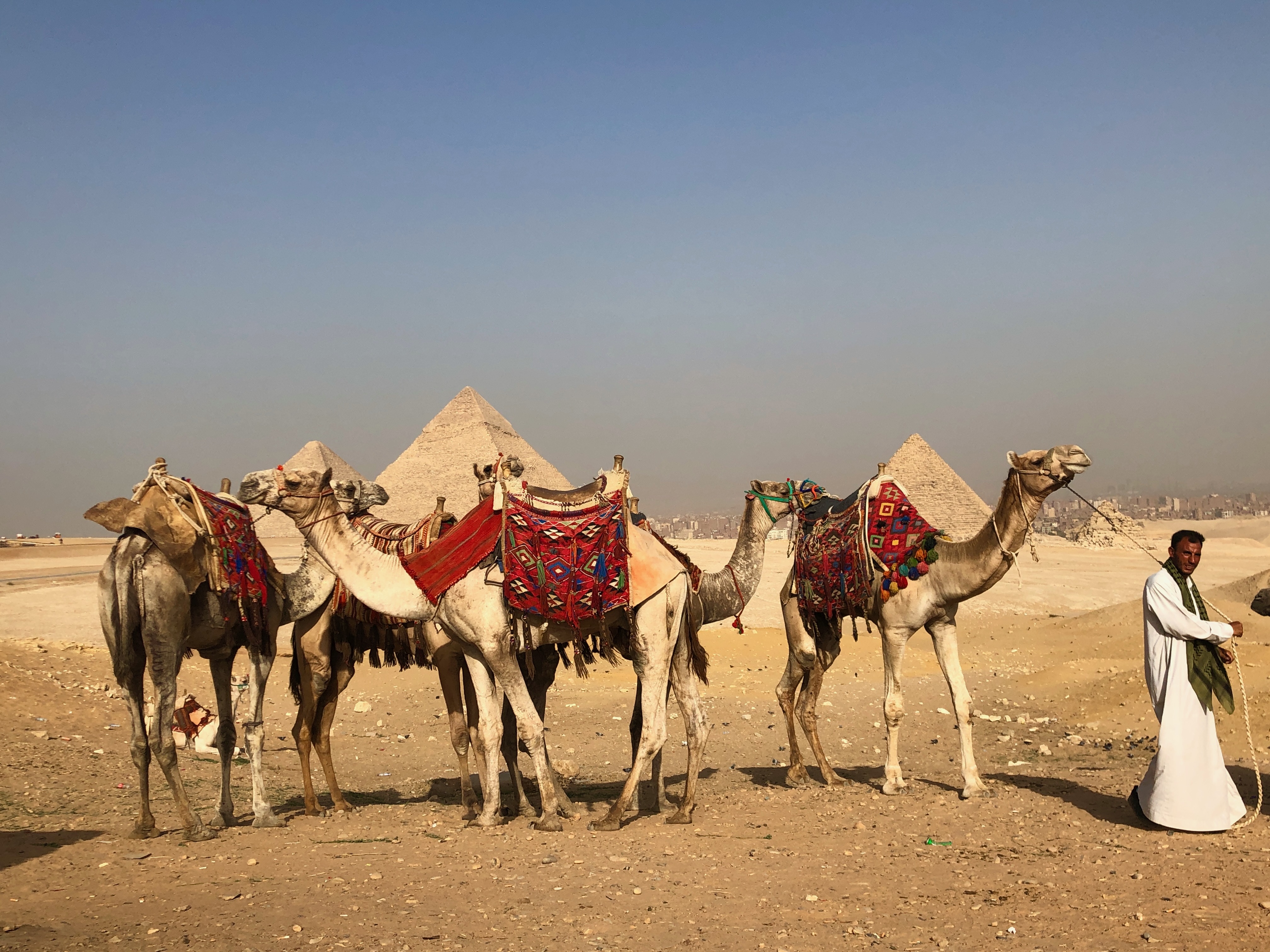 Desert